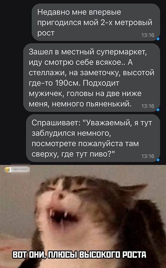 Недавно мне впервые пригодился мой 2х метровый рост 1316 _ Зашел в местный супермаркет иду смотрю себе всякое А стеллажи на заметочку высотой где то 190см Подходит мужичек головы на две ниже меня немного пьяненький к Спрашивает Уважаемый я тут заблудился немного посмотрете пожалуйста там сверху где тут пиво 1 шт пни ШШШ выппщцп ппстп