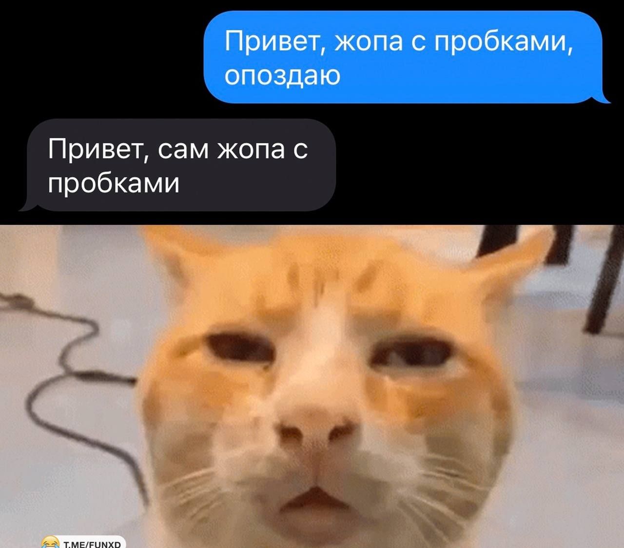 Привет сам жопа пробками