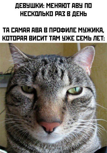 дЕВНШКИ МЕНЯШТ АВН ПП НЕЕКПЛЬКП РАЗ В дЕНЬ Тд ЕдМдЯ ПВП В ПРПФИЛЕ МНЖИКЛ КПТПРПП ВИЕИТ ТдМ НЖЕ СЕМЬ ПЕТ