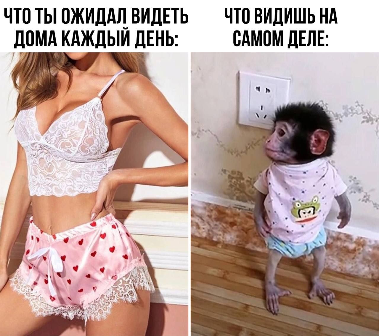 ЧТП ТЫ ПЖИЛЩ ВИДЕТЬ ЧТ0 ВИЛИШЬ НА ДПМА КАЖДЫЙ ЛЕНЬ БАМПМ дЕЛЕ