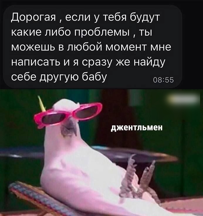 Дорогая если у тебя будут какие либо проблемы ты можешь в любой момент мне написать и я сразу же найду себе другую бабу 08 55 АЖЕИТПЬМЕИ