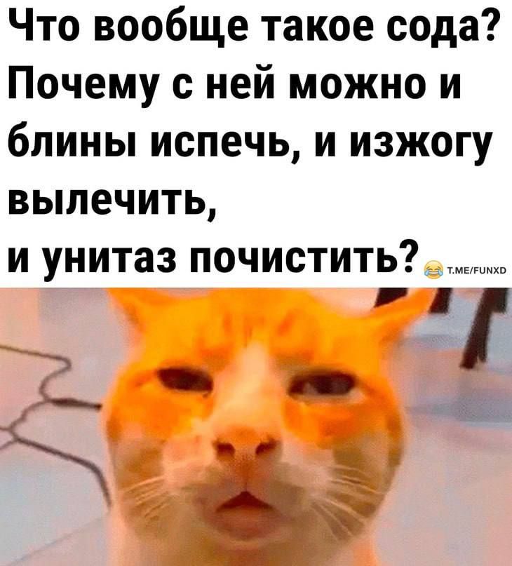 Что вообще такое сода Почему с ней можно и блины испечь и изжогу вылечить и унитаз почистить г
