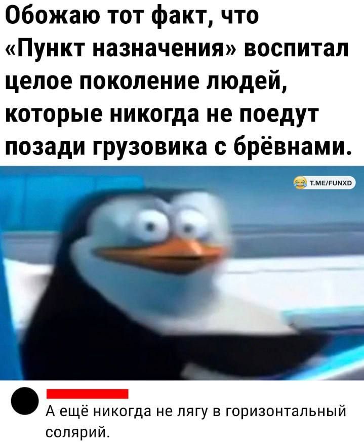 Обожаю тот факт что Пункт назначения воспитал целое поколение людей которые никогда не поедут позади грузовика с бревнами _ А еще никогда не лягу в горизонтальный солярий