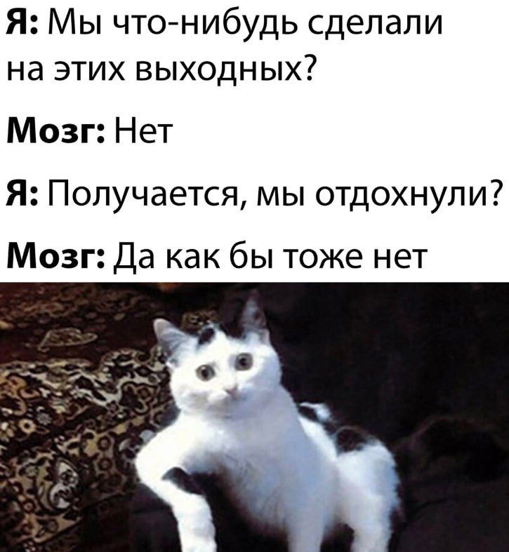 Я Мы чтонибудь сделали на этих выходных Мозг Нет Я Получается мы отдохнули Мозг Да как бы тоже нет