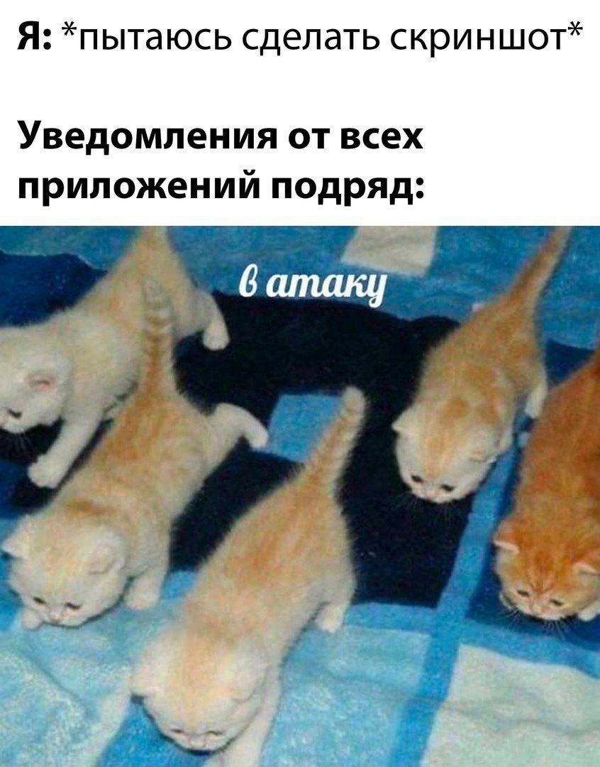 Я пыта юсь сделать скриншот Уведомления от всех приложений подряд