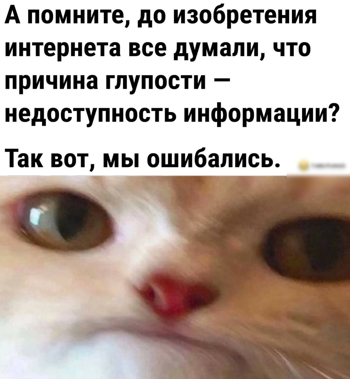 А помните до изобретения интернета все думали что причина глупости недоступность информации Так вот мы ошибапись С