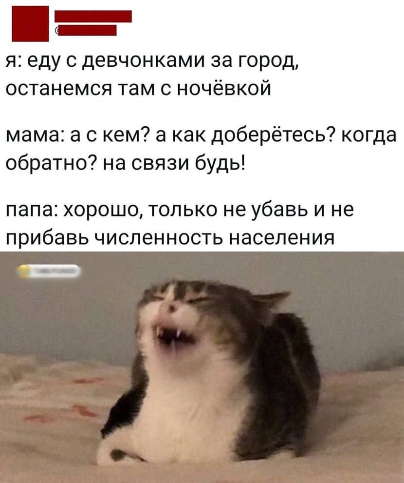 _ Я еду С девчонками 33 город останемся там С НОЧЁВКОЙ мама а с кем а как доберётесь когда обратно на связи будь папа ХОРОШО ТОЛЬКО не убавь И не прибавь ЧИСПеННОСТЬ населения