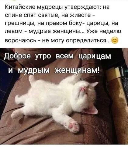 Китайские мудрецы утверждают на спине спят святые на животе грешницы на правом боку царицы на ПЭВОМ мудрые ЖеНЩИНЫ УЖЕ неделю ворочаюсь не могу определиться доброе утро всем царицам и мудрым женщинам