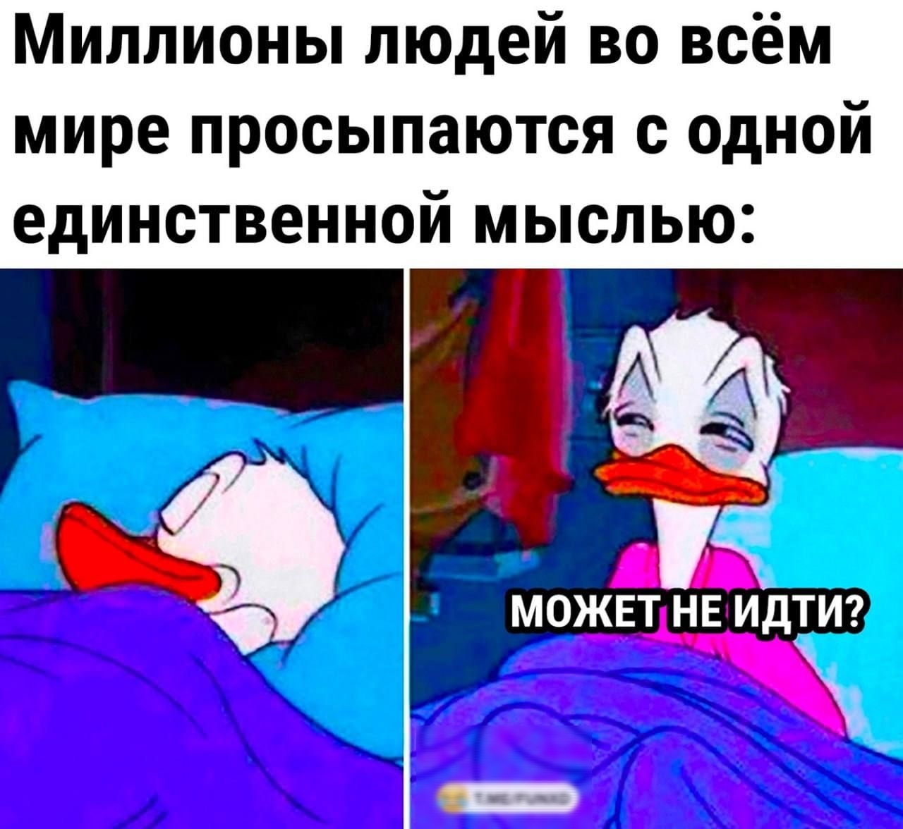 Миллионы людей во всём мире просыпаются с одной единственной мыслью Ь