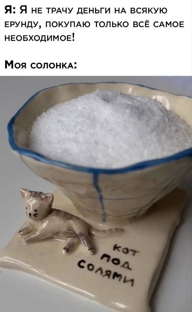 Я Я НЕ ТРАЧУ дЕньги НА всякую ерунду покумю только всЁ САМОЕ неовходимое Моя солонкд