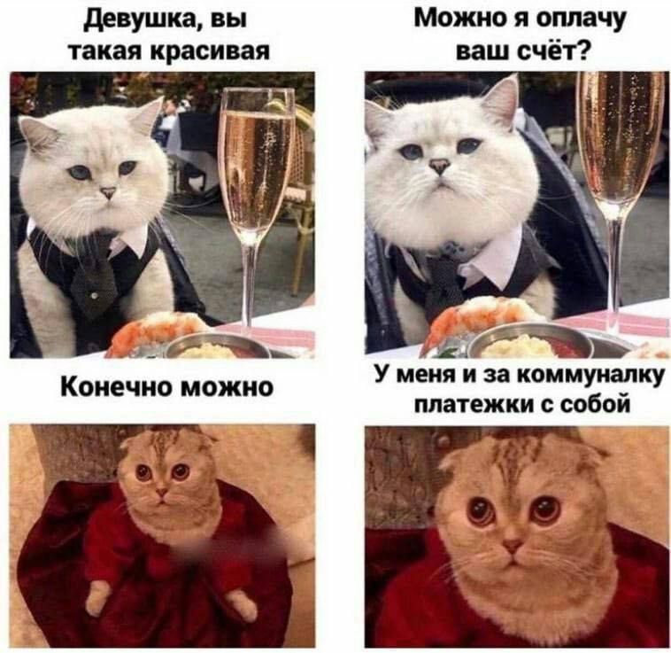 девушка вы можно я оплачу танан красивая ваш счёт дь У меня и за коммуналку платежки собой Конечно можно
