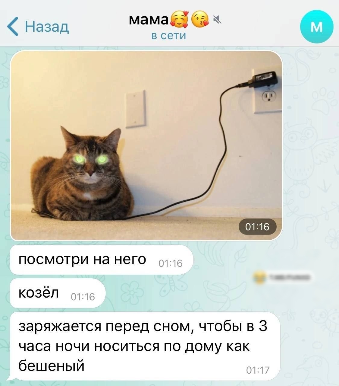 посмотри на него козёл заряжается перед сном чтобы в 3 часа ночи носиться по дому как бешеный