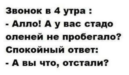 Звонок в 4 утра Алло А у вас стадо оленей не пробегапо Спокойный ответ А вы что отстали
