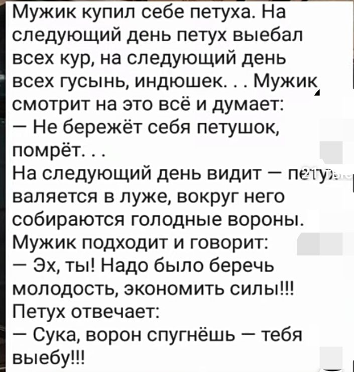 Мужик купил себе петуха На следующий день петух выебал всех кур на следующий день всех гусынь индюшек Мужик смотрит на ЭТО ВСЕ И думает Не бережёт себя петушок помрётт На следующий день видит пеш валяется в луже вокруг него СОбИРЗЮТСЯ ГОПОДНЫЭ вороны Мужик подходит и говорит Эх ты Надо было беречь молодость экономить силы Петух отвечает Сука ворон спугнёшь тебя выебу