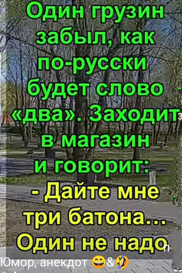 Одингрузин забыл как пб русски будет слово два Заходиъ ішч КНЦ __ в магазин _ иговорит даите мне Ё три батона Один не над 1