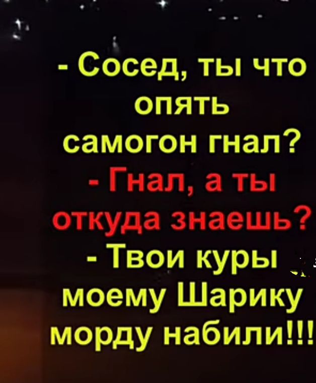 а _ _ сосед ты что опять самогон гнал Гнал а ты откуда знаешь Твои куры _ _ моему Шарику морду набили