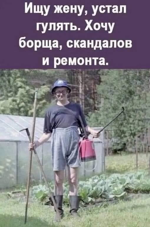Ищу жену устал гулять Хочу борща скандалов елементи г _