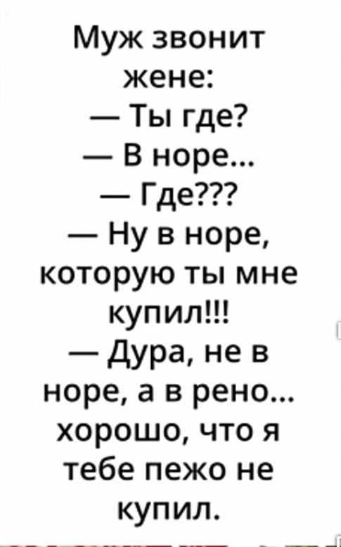 Муж звонит жене Ты где В норе Где Ну в норе которую ты мне купил Дура не в норе а в рено хорошо что я тебе пежо не купил