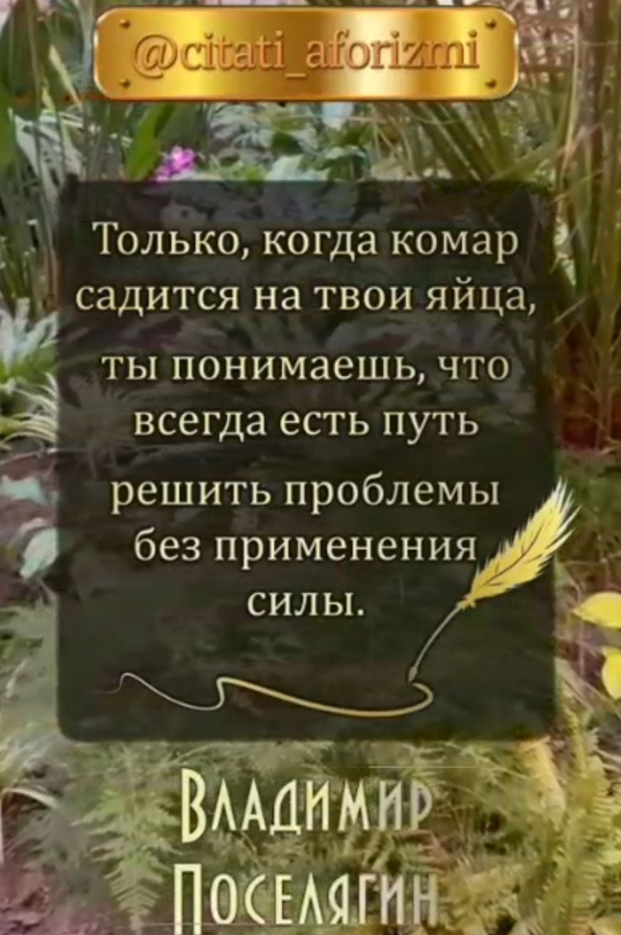 Только, когда комар садится на твои яйца, ты понимаешь, что всегда есть путь решить проблемы без применения силы.

Владимир Поселягин
