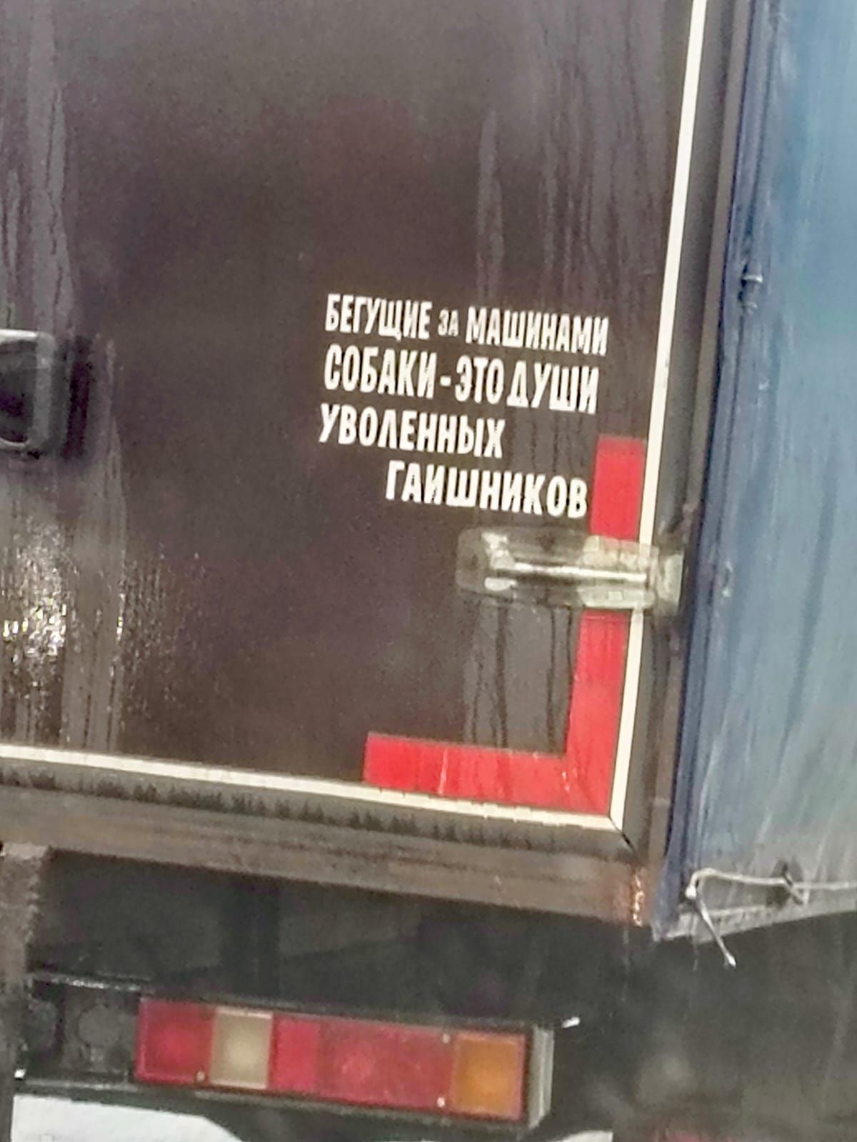 БЕГУЩИЕ ЗА МАШИНАМИ СОБАКИ - ЭТО ДУШИ УВОЛЕННЫХ ГАИШНИКОВ