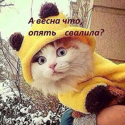Я ж д с ь т п о