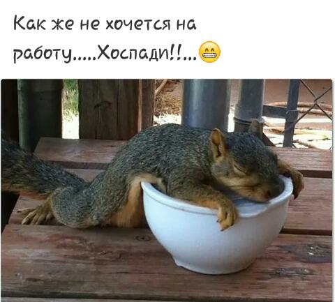 Как же не хочется но работуХоспади
