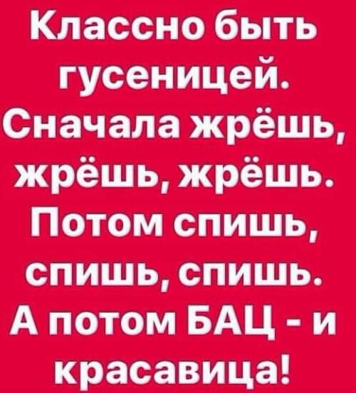 Китайцы жимы Аттиц и