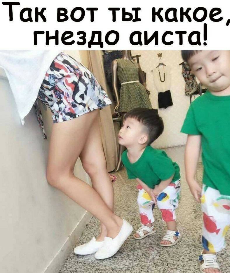 Так вот ть какое гнездо аиста