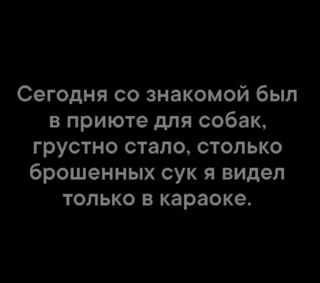Сегодня со знакомой был в приюте для собак грустно стало столько брошенных сук я видел только в караоке
