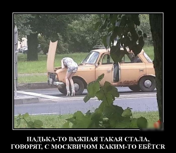НАДЬКА ТО ВАЯСНАЯ ТАКАЯ СТАЛА ГОВОРЯТ С МОСКВИЧОМ КАКИМ ТО ЕБЁТСВ