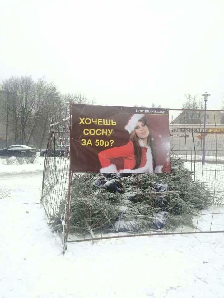 ночным хочешь сосну А50р