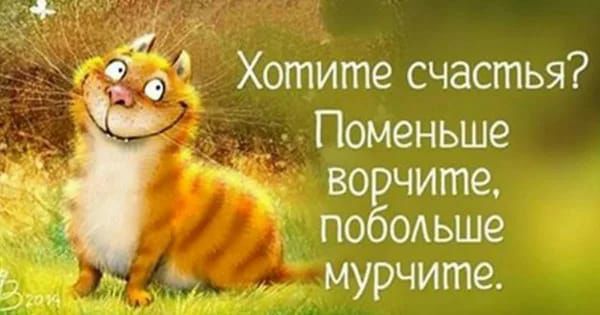 _ фы Хотите счастья _ Поменьше ворчите побОАьше мурчите
