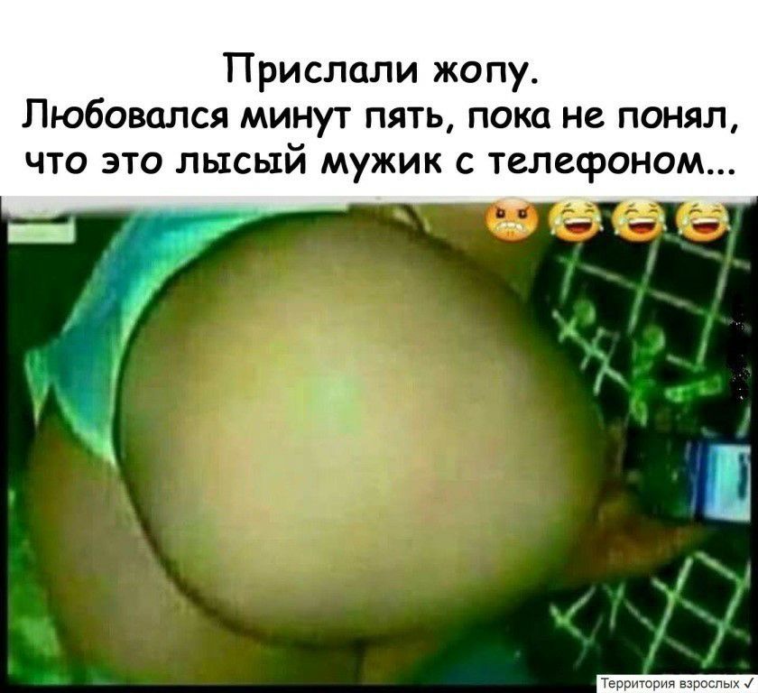 Прислали жопу Пюбовался минут пять пока не понял что это лысый мужик с телефоном Территория взрпспых