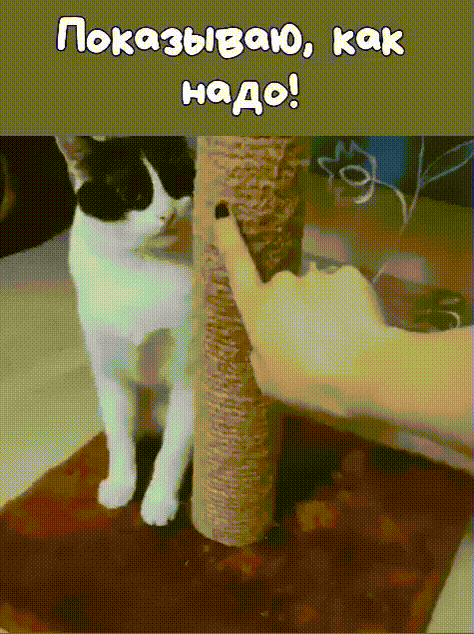 нада Призываю как а г