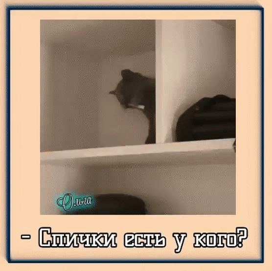 ПМ