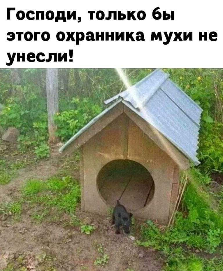 Господи только бы этого охранника мухи не унесли