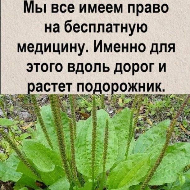 Мы все имеем право на бесплатную медицину Именно для ЭТОГО ВДОЛЬ дОРОГ И