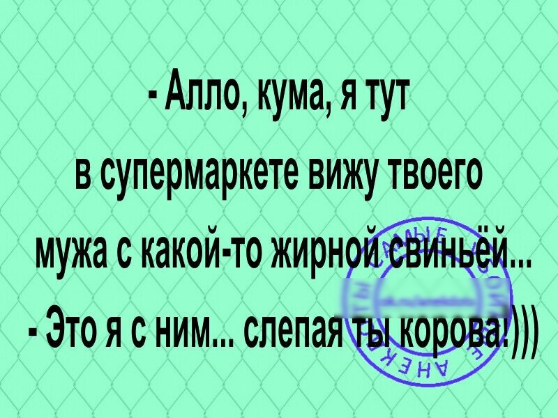алло, кума, я тут в супермаркете вижу твоего мужа с какойто жирной евиньей, . Это я с ним...слепая тыкорова!