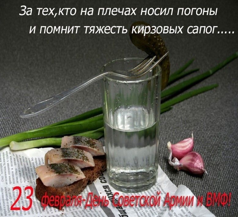 За ТЕХКТ0 Нд плечах НОСИЛ ПОГОНЫ И ПОМНИТ тяжесть КИРЗОВЫХ СЗПОГ