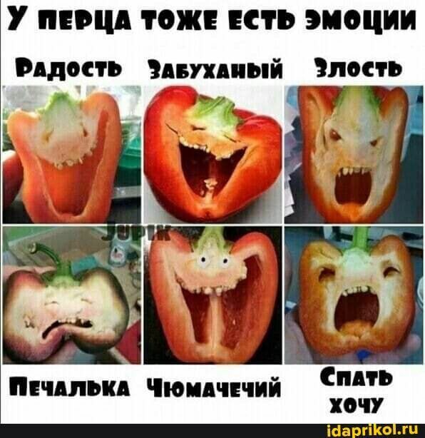 У ммм тож кть эмоции Мдонь пуп ый лпть Синь хочу милым Чпидчнчий