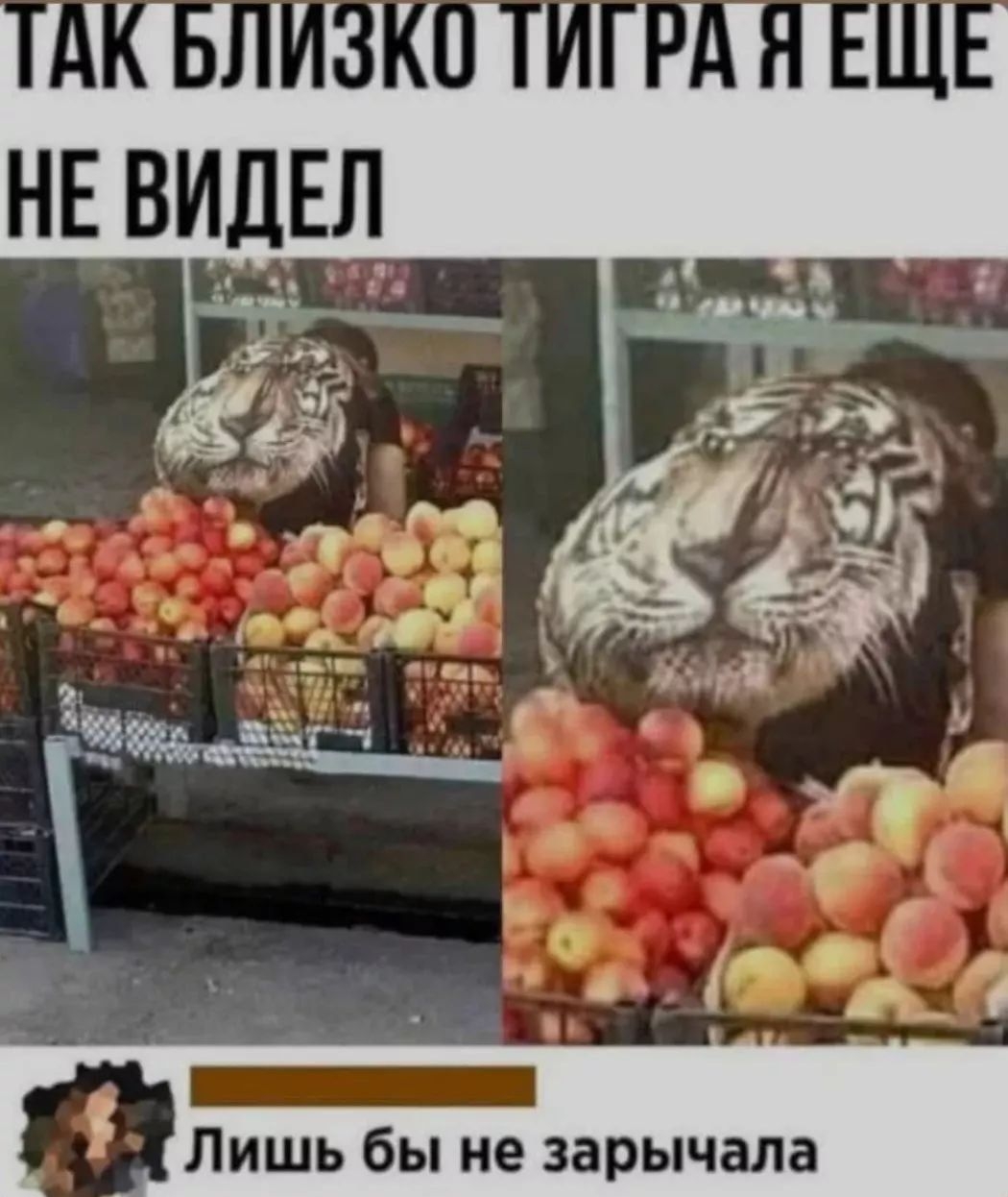 _ Лишь бы не зарычала