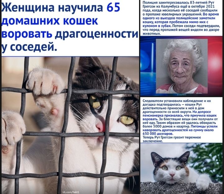 енщина научила 65 ЁЁЭЪЁжЪЁ о М а ш и Х КО Ш е К ЖЁГЁЁЖЁЗЁЁЁЁЁЁЁЁЁ ЖЁМ воровать драгоценности соседей пежипиерп приаима пвиуин каши парант ь ад и щи душ мир 5000 д и химии Питишъукпепи иипииапппающиищни а мну и но поо пшшнроо