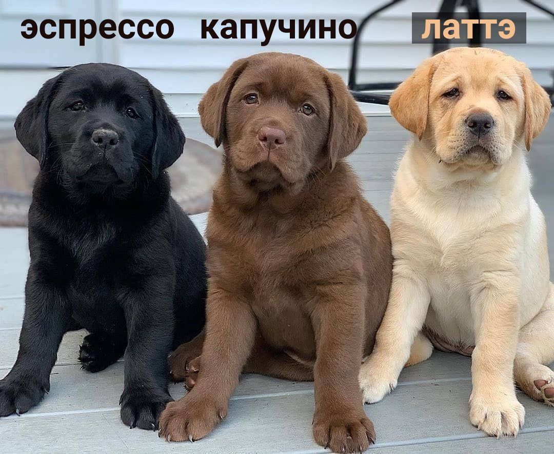эспрессо капучин