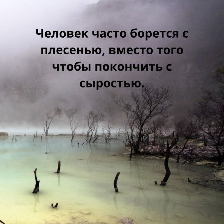 Человек часто борец плесенью вмес
