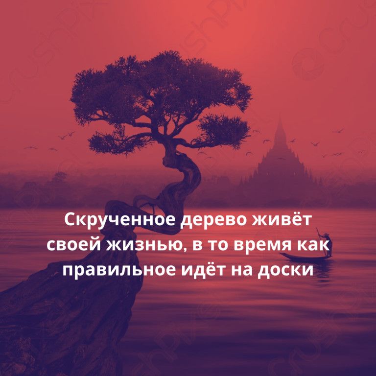 Скрученное дерево живёт своей жизнью в то время как правильное идёт на доски