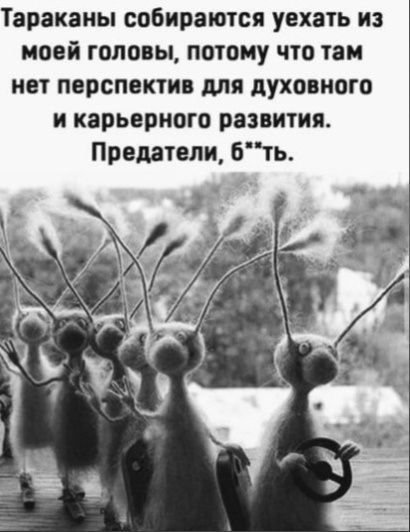 Тараканы собираются уехать из моей головы потому что там нет перспектив для духовного и карьерного развития Предатели 6ть