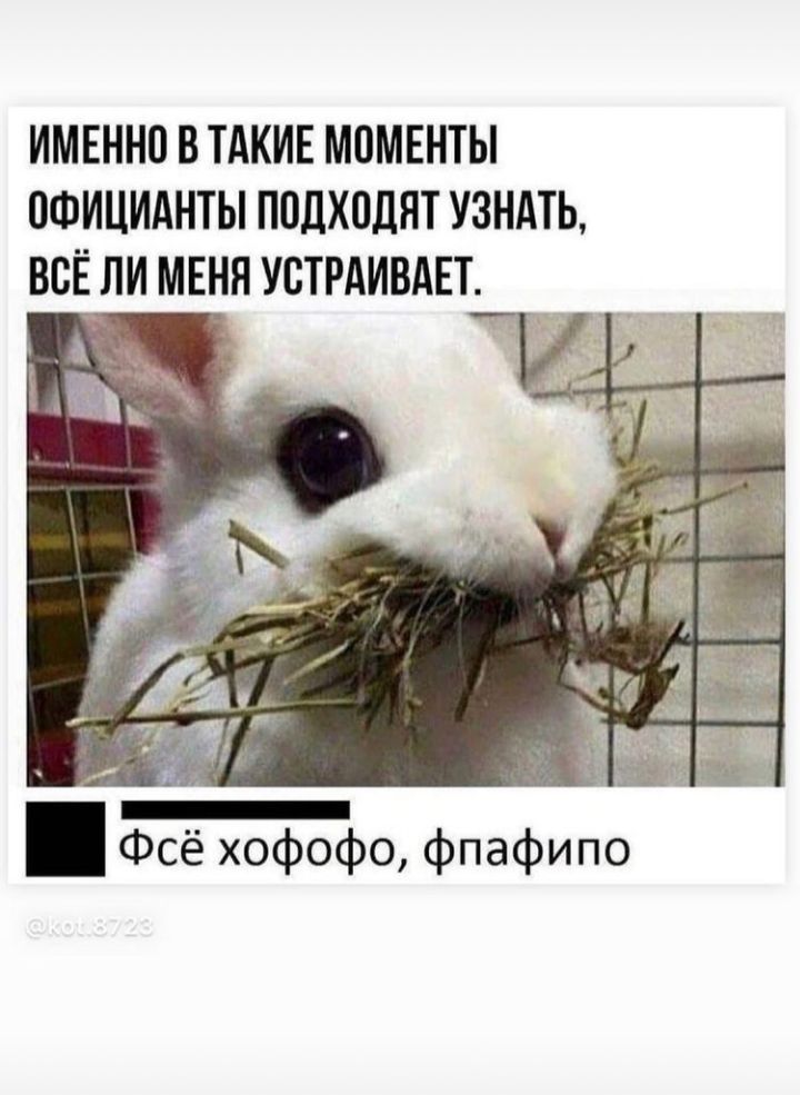 ИМЕННП В ТАКИЕ МОМЕНТЫ ОФИЦИАНТЫ ПОЛХОДЯТ УЗНАТЬ ВСЁ ЛИ МЕНЯ УСТРАИВАЕТ гы у