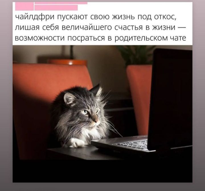 чайпдфри пускают СВОЮ ЖИЗНЬ ПОД ОТКОС лишая себя ВЭПИЧЭЙШЭГО СЧдСТЬЯ В ЖИЗНИ ВОЗМОЖНОСТИ ПОСрдТЬСЯ В РОДИТЕПЬСКОМ чате