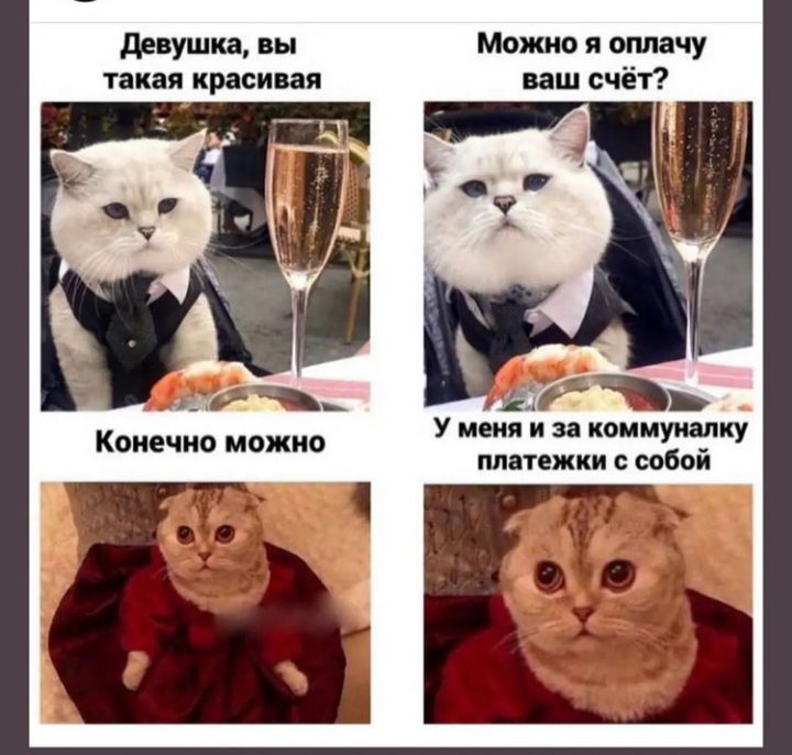 Девушка, вы можно я оплачу такая красивая ваш счёт?  Ча  ы у меня и за коммуналку конечно можно рысебея нуацизеч