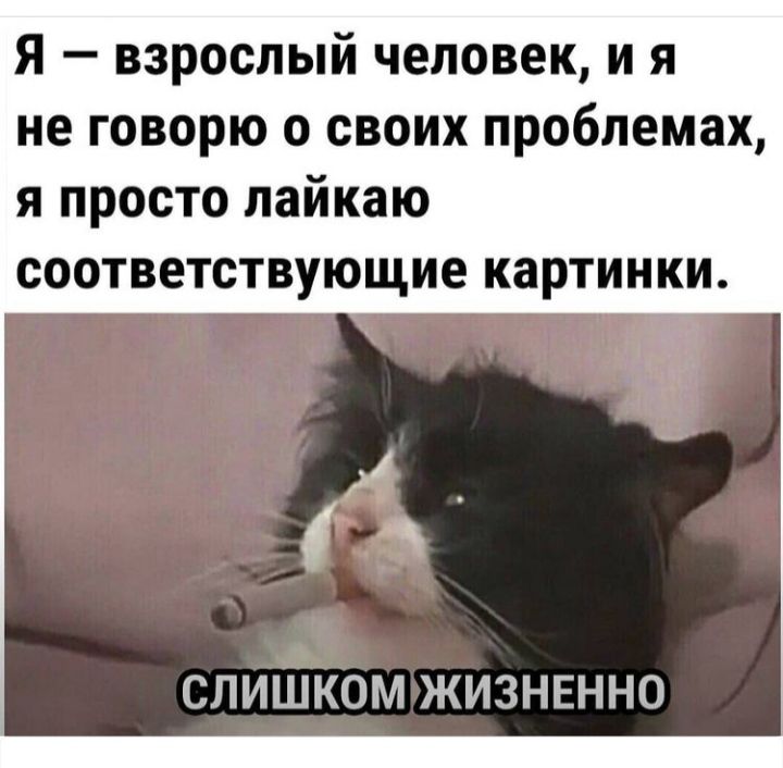 Я взрослый человек и я не говорю о своих проблемах я просто лайкаю соответствующие картинки Р к _ СЛИШКОМ ЖИЗНЕННО